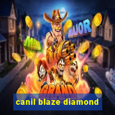 canil blaze diamond